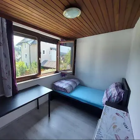 Apartment Ferienhaus Traunseestadt Gmunden